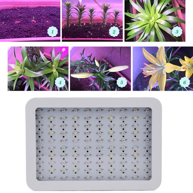 led grow light glasses tent hydroponics plant growing indoor plants lamps greenhouse 1000W Full Spectrum for Medical Veg Bloom